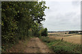 SE4536 : Farm Track beside The Rein by Chris Heaton