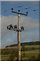 NO0760 : Electrical Air Break on Overhead Power Lines by Andrew Tryon