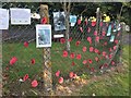 Ribbon of Poppies