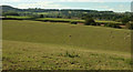 Farmland near Clapham