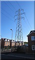 Dominant pylon among recently-built houses, Caerleon