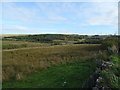 Rough grazing off Manchester Road (A682)