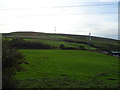 Grazing near the New Waggoners 