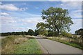 Lane near the High Dyke