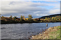 Angler in the River Spey