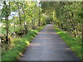 Lane near Loch Achilty