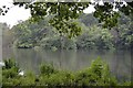 Highams Park boating lake