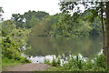 Highams Park boating lake