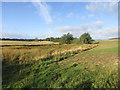 Bogland at Balrownie