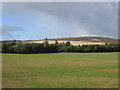 Field at Lundie Castle