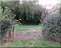 SK6815 : Gates on Gaddesby Lane 001 by Andrew Tatlow