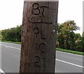 SK6820 : Carvings on telegraph pole by Shoby House Farm entrance by Andrew Tatlow