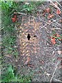 SK6820 : Fire hydrant cover at Shoby turn off on A6006 by Andrew Tatlow