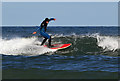 NT7971 : A surfer at Pease Bay by Walter Baxter