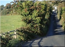 J0226 : Sturgan Brae approaching its junction with the old A25 by Eric Jones