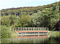 Foot bridge over The Mere, Scarborough