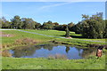 Pond (2), former golf course, Oakdale