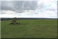 NZ3863 : Grassland on Cleadon Hill by Graham Robson