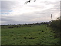 Fields beside Millhall Road