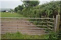 Gate by road to Thurlestone