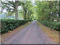 Lane near Muirton Mains