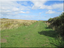 TG1743 : Footpath  to  the  coast  east  of  Sheringham by Martin Dawes