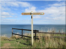 TG1743 : Norfolk  Coast  Path  finger  post  and  the  North  Sea by Martin Dawes
