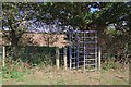 TL5501 : Paddock Gate Near Littlebury Hall by Glyn Baker