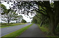 Beal Bank towards Warkworth