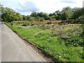 Wetland on the south side of Coolderry Road