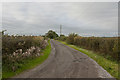 The track to Bank Farm