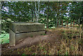 NJ2664 : RAF Milltown WW2 Airfield - Battle HQ (1) by Mike Searle