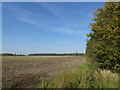 Field near Whisby