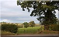 Farmland at Strathallan