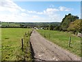 Track to Cornshay Wood Farm