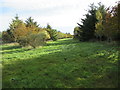 ND1455 : Grassy ride in new forest by Achanarras Farm, Thurso by ian shiell