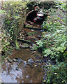 SD5215 : Pye Brook at Town Lane, Heskin by Gary Rogers