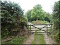 Field gate on Week Down