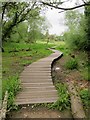 The raised path through Lye Valley Nature Reserve