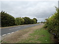 TL8622 : A120 Colchester Road, Surrex, Coggeshall by Geographer