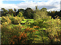 The garden of Dromonby Bridge Farm