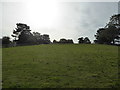 Looking uphill towards Church Pulverbatch