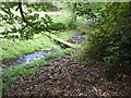 Footbridge over the stream