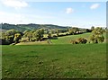 Fields, west of Tolcis Cross