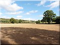 Bare farmland near Westwater