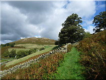 NY4318 : Public footpath to Cotehow and the Coombs by Christine Johnstone