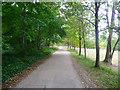 Driveway in Wandlebury Country Park