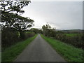 Road near Glebe Farm