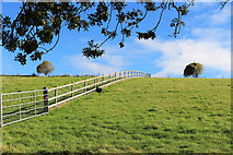 SU4074 : Fence on a Hillside by Des Blenkinsopp