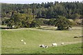 Glencairn farmland